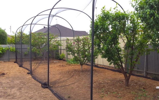 Tree hoop house for fruit protection from birds and pests
